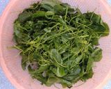 Hình bước làm 1 của món Rau bò khai xào tỏi