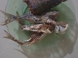 Ikan Tongkol Rica-Rica