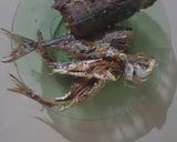 Foto langkah ke 1 dari resep Ikan Tongkol Rica-Rica.