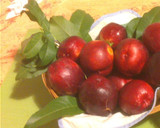 Foto del paso 1 de la receta: Postre de verano con albaricoques y nectarinas