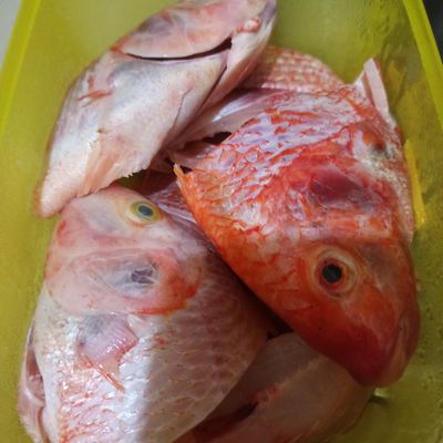Langkah 1