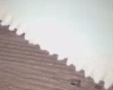 صورة لخطوة 5 من وصفة تشيز المارشميلو 👌🏻