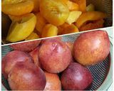 Hình bước làm 1 của món Sirô đào