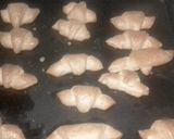 A picture of step 9 of Crunchy bites.