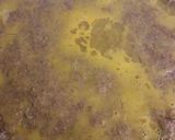Foto del paso 4 de la receta: Pascualina de masa integral