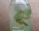 Foto del paso 1 de la receta: Limonada refrescante