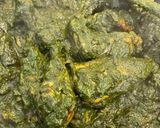 A picture of step 6 of Hari Chutney Biryani.