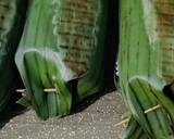 Cara Membuat Nasi bakar ikan layang 4