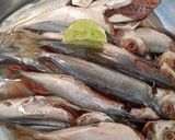 Foto langkah ke 1 dari resep Ikan Dencis Balado.