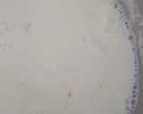બાસુંદી (Basundi Recipe in gujarati) રેસીપી સ્ટેપ3ફોટો