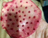A picture of step 4 of Aloo Tamater Curry with Beetroot Puri.