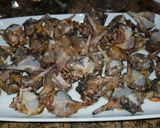 Foto del paso 1 de la receta: Cañaíllas cocidas