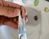 Foto del paso 4 de la receta: Crema de lentejas de gallina