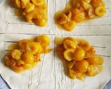 Une image de l'étape 4 de Tresse à la mirabelle.