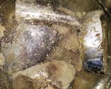 Foto langkah ke 1 dari resep Ikan Tongkol Kecap.