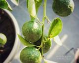 SAMBAL DADAK / Sambal MENTAH / sambal segar langkah memasak 7 foto