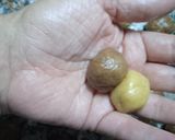 Foto del paso 2 de la receta: Bizcochitos para el mate o meriendas!!!
