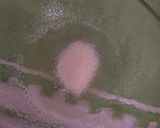 Foto del paso 10 de la receta: Yellow submarine