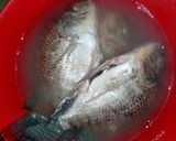 Foto langkah ke 9 dari resep Penget ikan mujair.