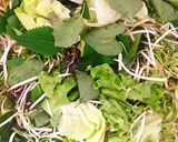Hình bước làm 5 của món Mắm tép sườn sụn