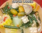 Foto langkah ke 3 dari resep Resep Sayur Lodeh Sederhana dan Enak.