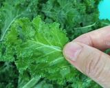 Hình bước làm 3 của món Thí nghiệm cùng cải xoăn: kale salad và kale chip