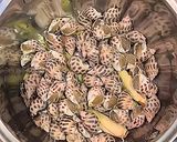A picture of step 2 of Snails with Salted Egg Sauce.