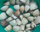 Hình bước làm 1 của món Cháo yến mạch nghêu (Ngao) nấu củ cải trắng [Eat clean - Lose weight]