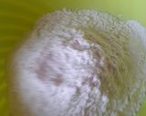 A picture of step 3 of Chicken paratha.