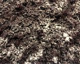 Foto langkah ke 4 dari resep Tape Ketan Hitam.