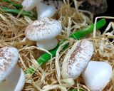 Une image de l'étape 2 de Meringues champignons 🍄.