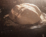 Foto del paso 8 de la receta: Pan de pueblo (casero)