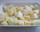Foto del paso 4 de la receta Helado de melón dulce (Thermomix)
