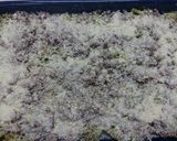 Foto del paso 15 de la receta: Pastel de Brócoli!