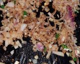 A picture of step 3 of Instant baingan sabzi.