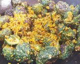 ભરેલા કારેલા-જુવાર રોટલો :::(Bharela Karela recipe in Gujarati) રેસીપી સ્ટેપ4ફોટો