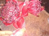 Sambel Bunga Kecombrang
