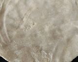 A picture of step 2 of Jowar Bhakri and vegetable (Pendbhaji Bhakri).