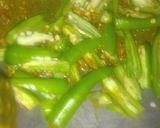 चटपटी हरी मिर्च की सब्जी (Chatpati hari Mirch ki sabzi recipe in Hindi) रेसिपी चरण 5 फोटो