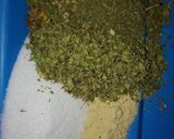 Foto del paso 6 de la receta: Guiso de tallarines