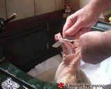 Φωτογραφία βήματος 2 της συνταγής Ψητό κοτόπουλο με τραγανή πέτσα; Μάλιστα!!!