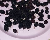 عکس مرحله 1 از دستور مربای توت سیاه