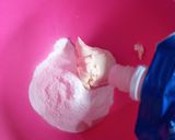 Foto langkah ke 1 dari resep Cheesecuit Milky.