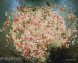Foto del paso 5 de la receta: Arroz meloso de pulpo y alcachofas