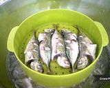 Foto langkah ke 1 dari resep Selar Kukus Sambel Dabudabu.