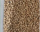 A picture of step 1 of Moth ki daal.