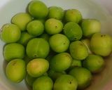 عکس مرحله 1 از دستور هلی کتنی(آلوچه شکسته) 🌺