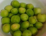 عکس مرحله 1 از دستور هلی کتنی(آلوچه شکسته) 🌺