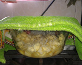 Foto del paso 2 de la receta: Mermelada de manzana🍎