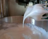 Foto langkah ke 5 dari resep Chiffon(carchoal + Greentea).